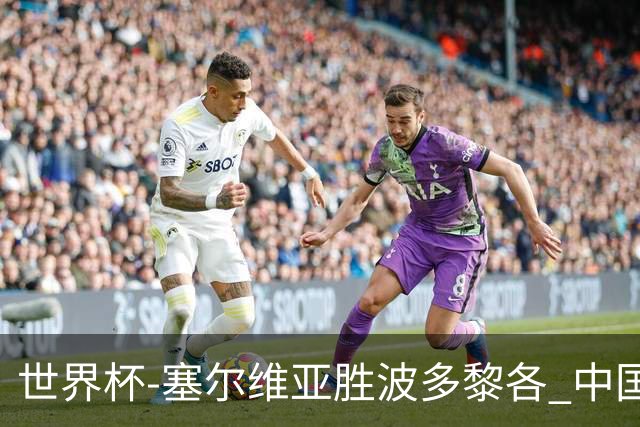 世界杯-塞尔维亚胜波多黎各 中国仍存出线可能