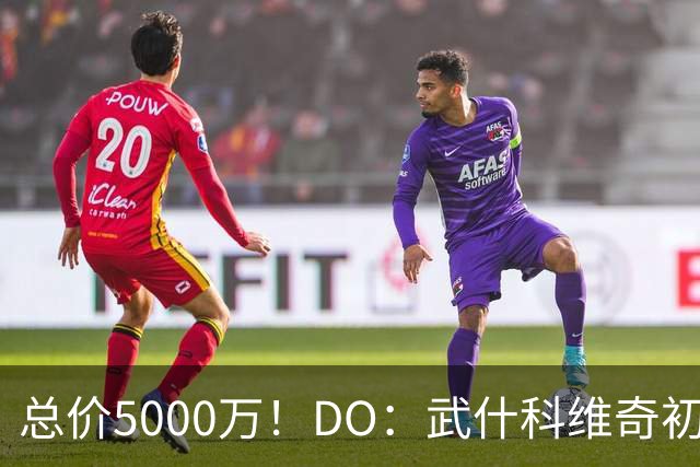 总价5000万！DO：武什科维奇初始转会费4600万镑，热刺有二转分成